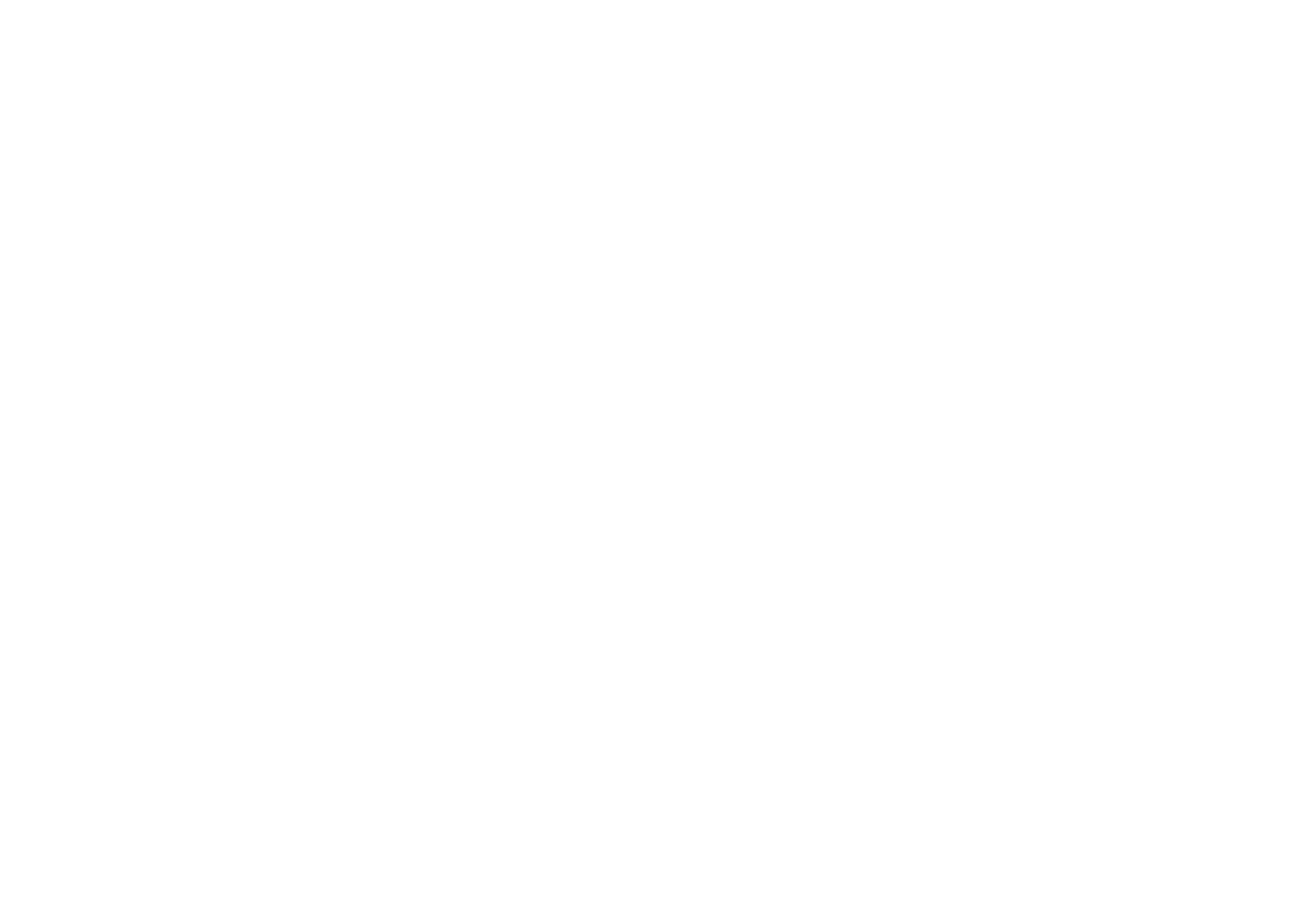 Logo PPGEnf - Branco - Sem Fundo