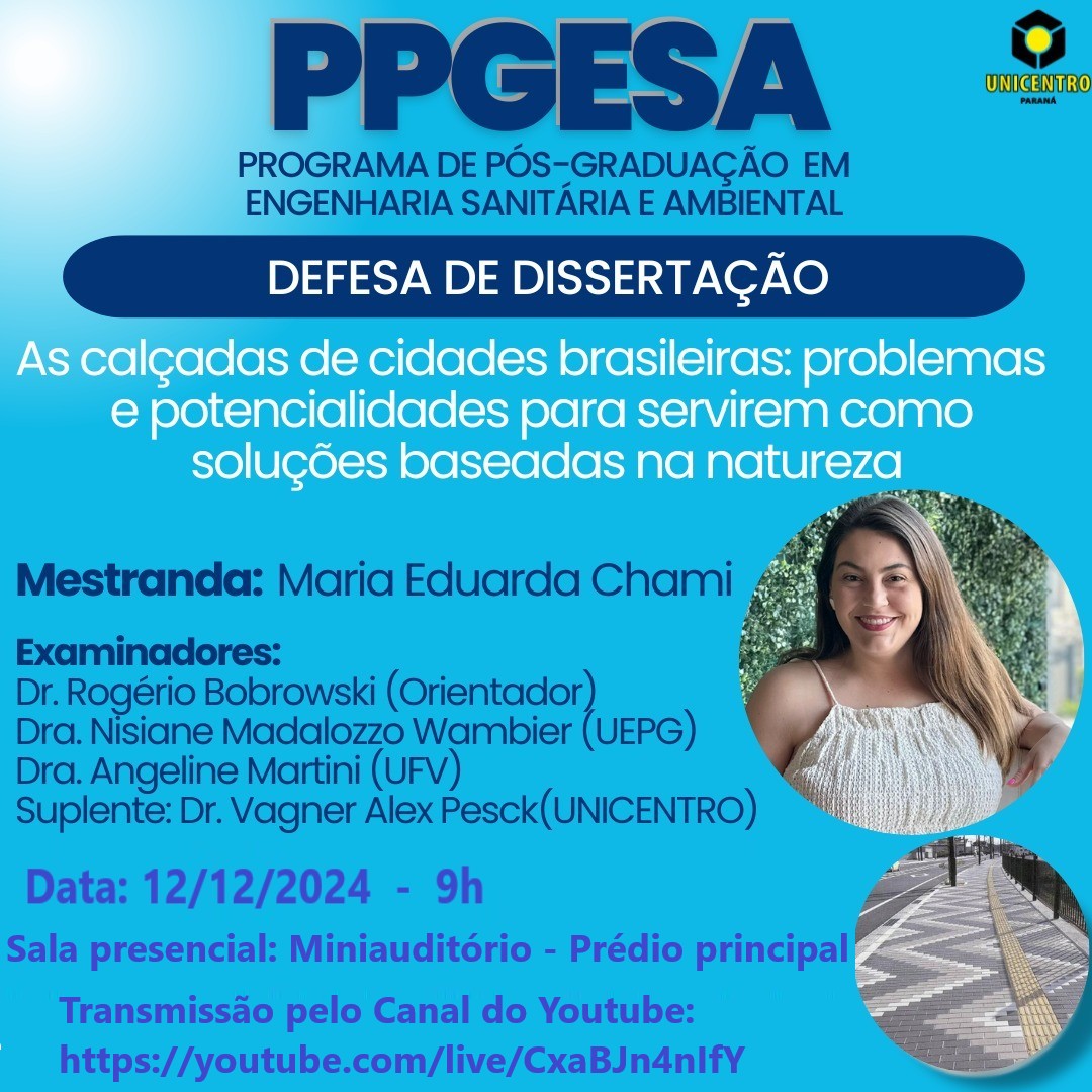 Defesa de dissertação – Maria Eduarda Chami, 12/12/2024