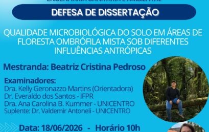 Defesa de dissertação – Beatriz Cristina Pedroso, 18/06/2026 – 10h