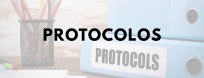 como emitir certificados e docuemntos no aluno online (16)