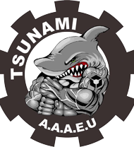 logo-tsunami