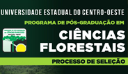 Processo de seleção Mestrado e Doutorado em Ciências Florestais