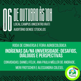 29° Roda de Mate e Debate – Indígenas da/na universidade desafios, diálogos e perspectivas