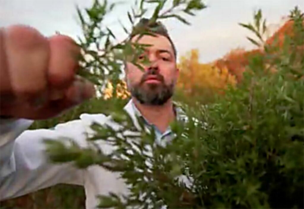 globonewsmateria Unicentro